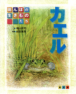 「田んぼの生きものたち　カエル」