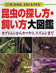 昆虫の探し方・飼い方大図鑑【カブトムシからカマキリ、スズムシまで】