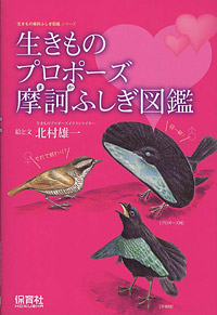 「生きものプロポーズ摩訶ふしぎ図鑑」