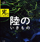 陸のいきもの