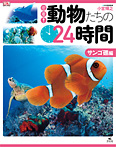 密着!動物たちの24時間 サンゴ礁編