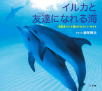 イルカと友達になれる海　大西洋バハマ国のドルフィン・サイト
