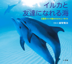 イルカと友達になれる海 大西洋バハマ国のドルフィン・サイト