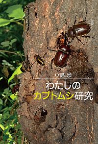 『わたしのカブトムシ研究』