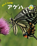 ぜんぶわかる! アゲハ