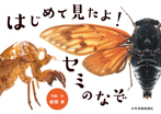 はじめて見たよ!セミのなぞ