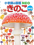 きのこ DVDつき