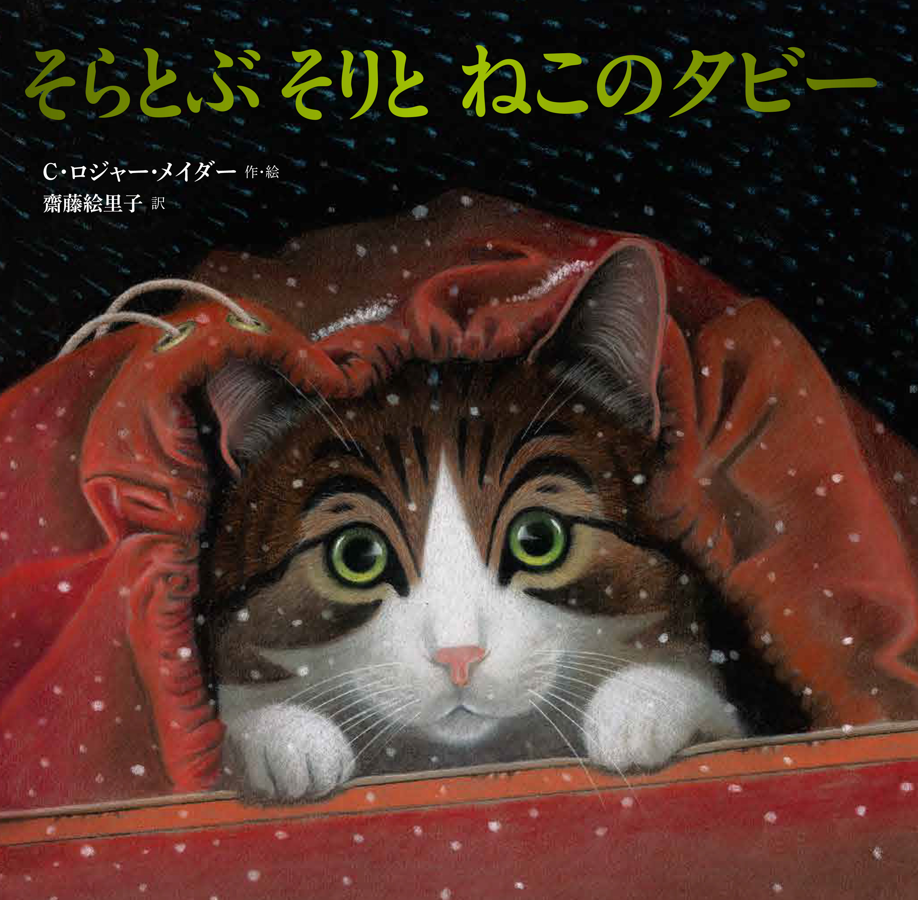 そらとぶそりとねこのタビー