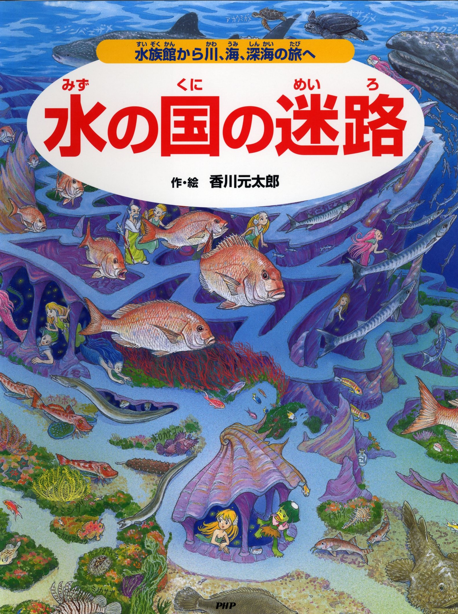 水の国の迷路