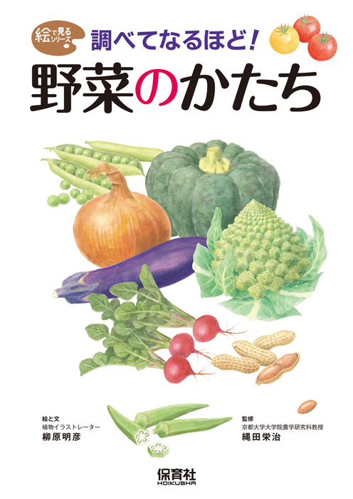 調べてなるほど！　野菜のかたち