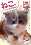 ねこがおうちにやってきた!