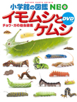 イモムシとケムシDVDつき