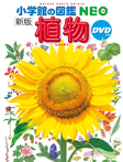 〔新版〕植物DVDつき