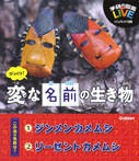 びっくり！　変な名前の生き物