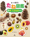 (3)木・くだもののたね どんぐり・リンゴほか