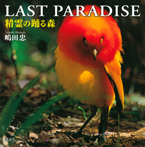 ＬＡＳＴ　ＰＡＲＡＤＩＳＥ　精霊の踊る森