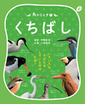 鳥のふしぎ(1)くちばし