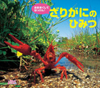 おおきくしてはっけん!ざりがにのひみつ