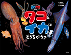 タコとイカはどうちがう?