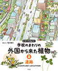 (2)道路　セイヨウタンポポ・シロツメクサほか