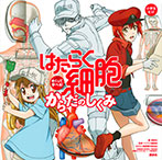 めくって学べる はたらく細胞 からだ図鑑