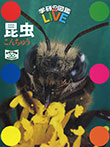 昆虫 特別版