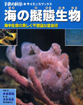 海の擬態生物