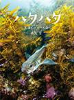 ハタハタ 荒海にかがやく命
