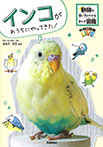 インコがおうちにやってきた!