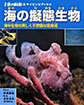 海の擬態生物