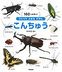 こんちゅう