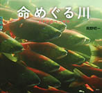 命めぐる川　カナダのベニザケ