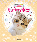 もふかわ ネコ