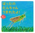 ばったの たんちゃん うまれたよ!