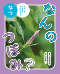 なんの　つぼみ？　なつ