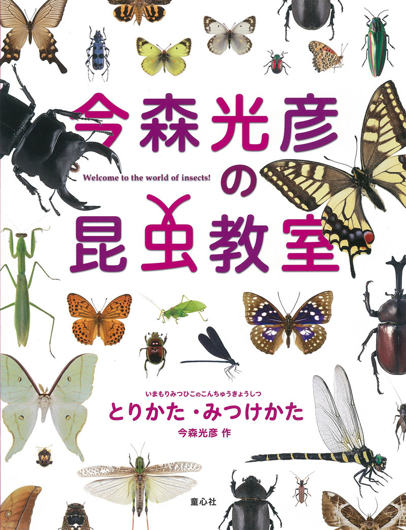 今森光彦の昆虫教室 とりかた・みつけかた